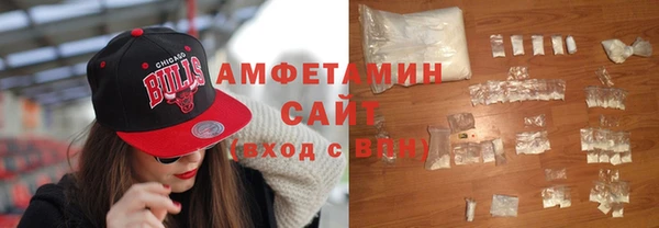 СК Ельня