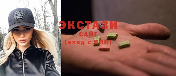СК Ельня