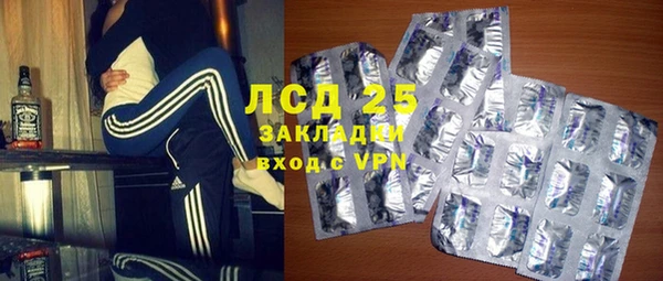 СК Ельня