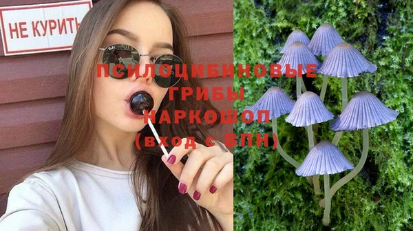 СК Ельня