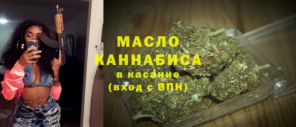 СК Ельня