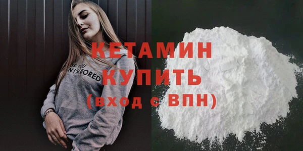 СК Ельня