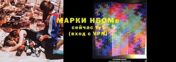 СК Ельня