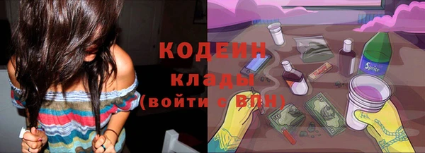 СК Ельня